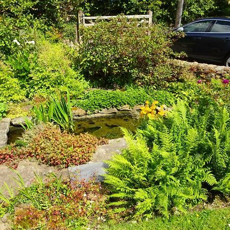 Tabor House B&B Fishguard Exterior foto